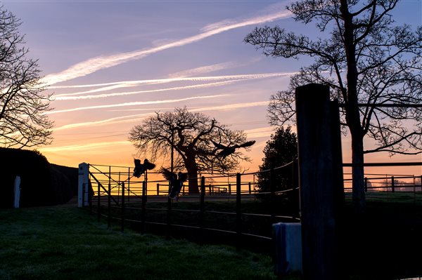 Wheatacre Dusk